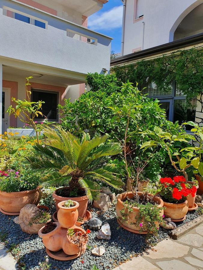 Apartmani Kurjakovic - 푸나트 외부 사진